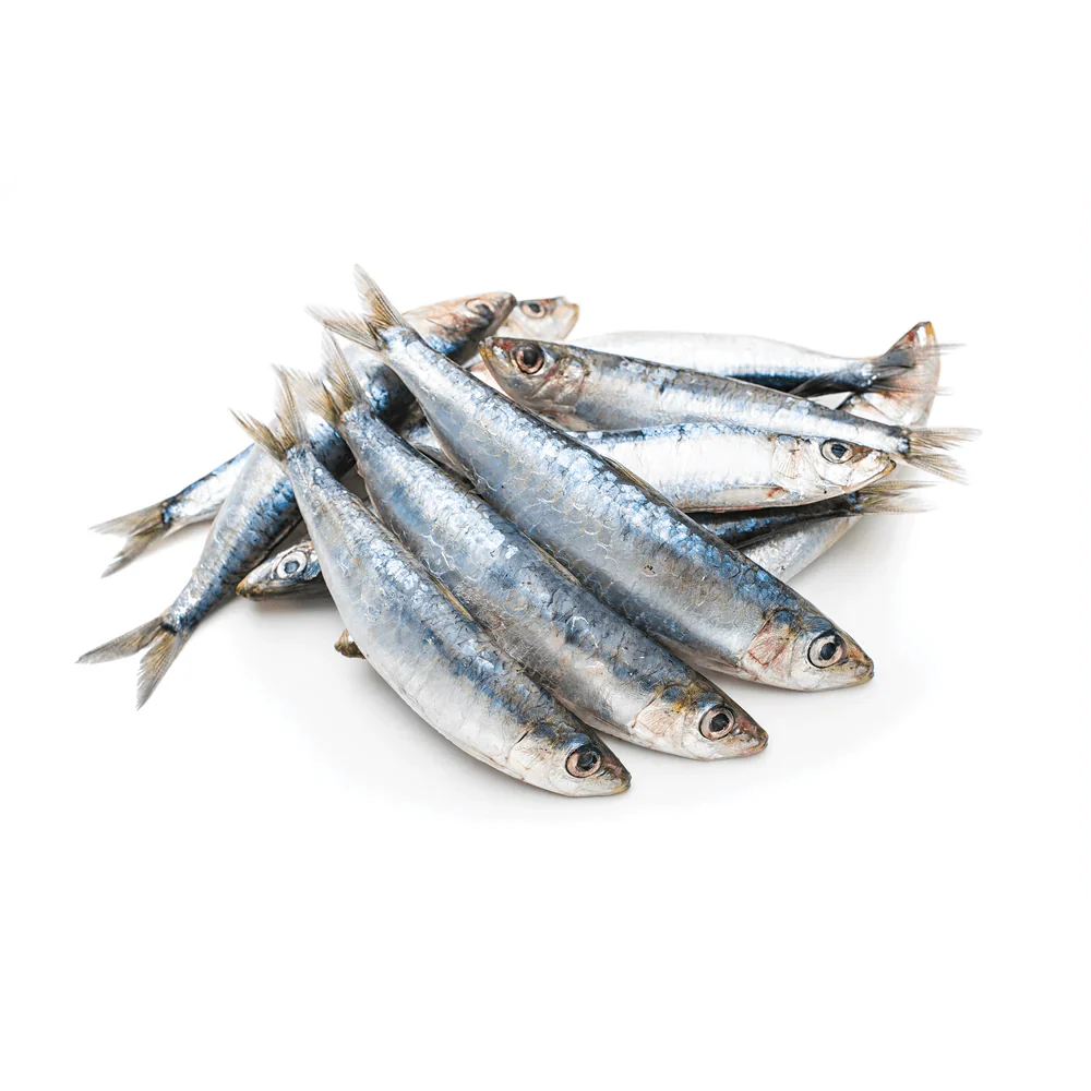 IRON WILL RAW SARDINES 1LB - Tail Blazers Etobicoke