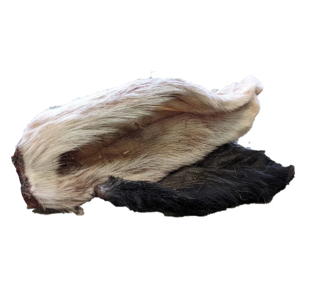 Just Raw Dehydrated Rabbit Ear (1pc)
