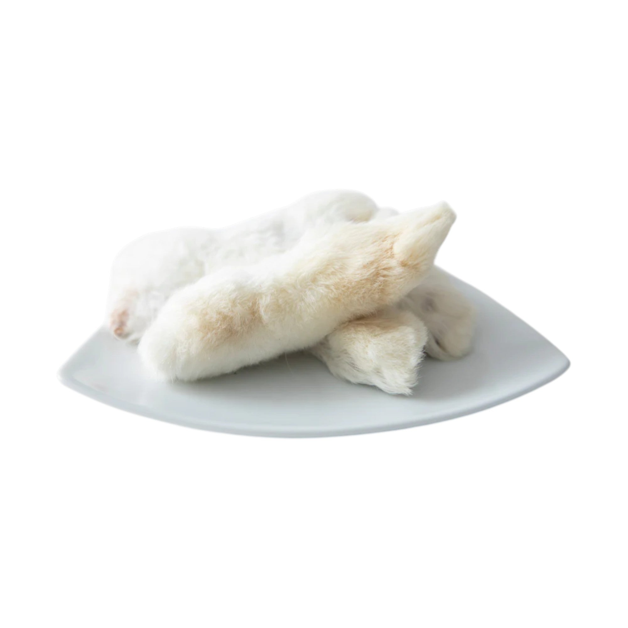 Grand Valley Quail Pet Rabbit Feet With Fur (1pc)